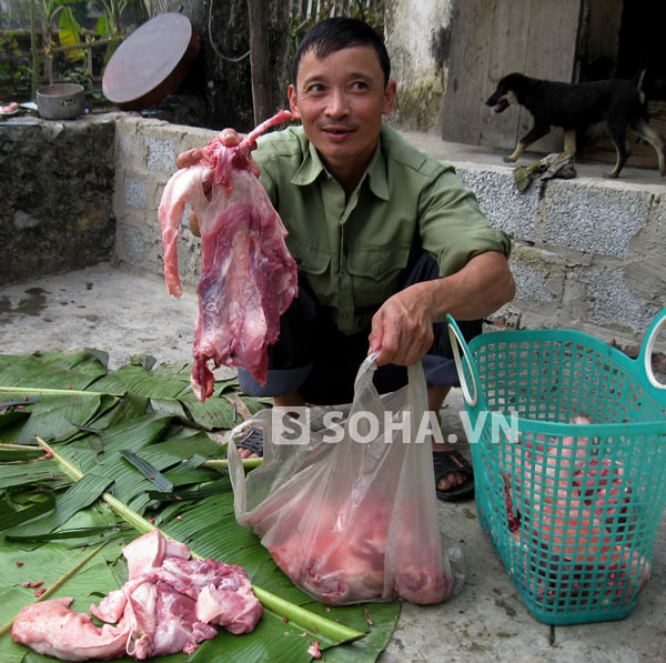 Chùm ảnh: Vui như... "đụng lợn" ngày Tết 19