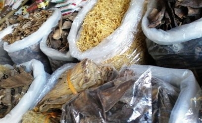 Cảnh giác với chất lượng măng tại chợ Đồng Xuân 2