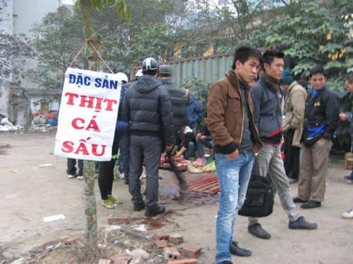 Xẻ thịt c&aacute; sấu b&aacute;n tr&ecirc;n vỉa h&egrave; 1