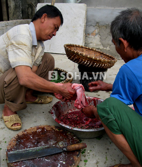 Chùm ảnh: Vui như... "đụng lợn" ngày Tết 17