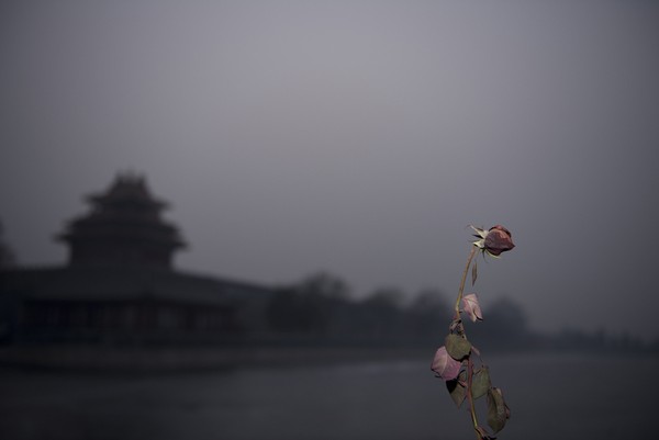 Hình ảnh đẹp trong cơn ô nhiễm khói ở Bắc Kinh 6
