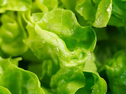 Vitamin "đầu bảng" cho sự phát triển toàn diện của bé 2