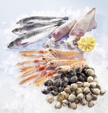 Vitamin "đầu bảng" cho sự phát triển toàn diện của bé 1
